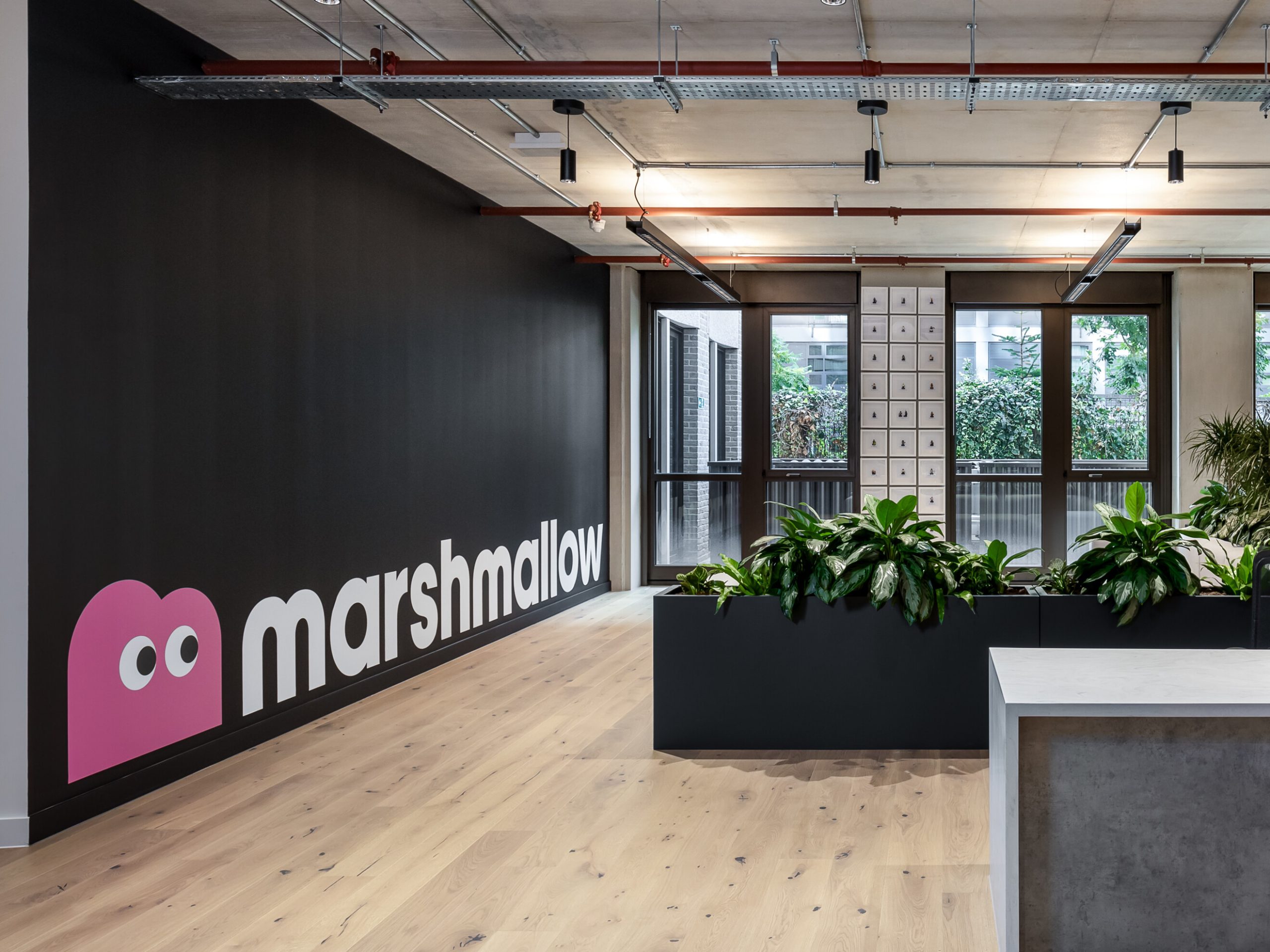 Marshmallow