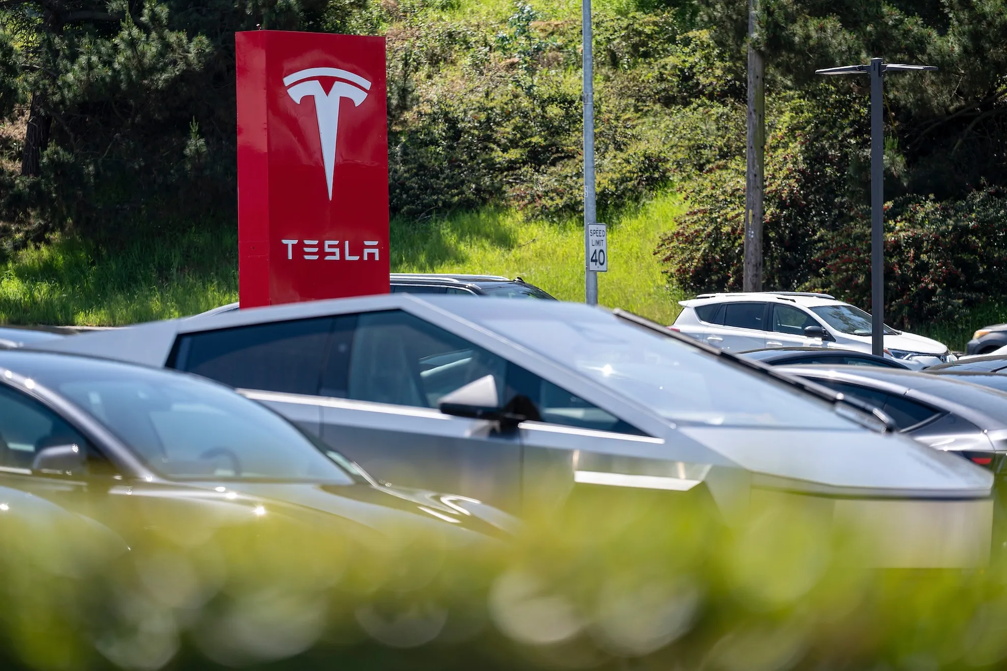 Tesla profits drop